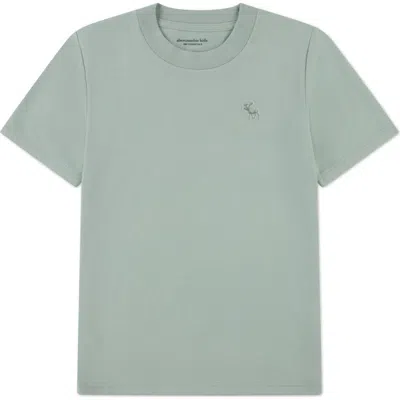 Abercrombie Kids Kids' Essential Cotton Blend T-shirt In Green