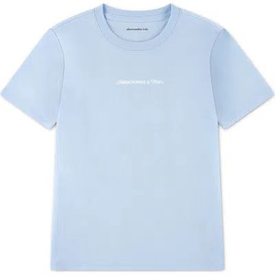 Abercrombie Kids' Girls' Berry Flag Oversized T-shirt In Blue