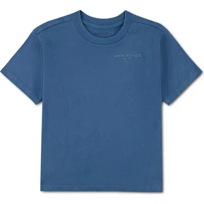 Abercrombie Kids Kids' Sunfaded Logo T-shirt In Blue