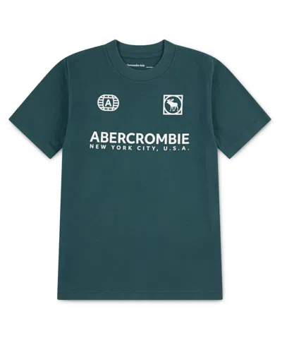 Abercrombie Kids' Little And Big Boys Emblems T-shirt In Blue
