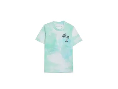 Abercrombie Palm Springs Tee (big Kids) Boy's T Shirt Bright White: 11-12 (big Kids) In Green