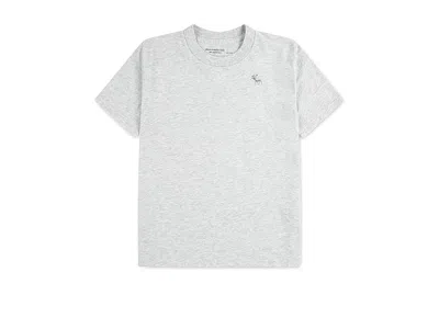 Abercrombie Short Sleeve Essential T-shirts (little Kid/big Kid) Boy's T Shirt Anf Light Grey Heather : 9-10 (bi In White