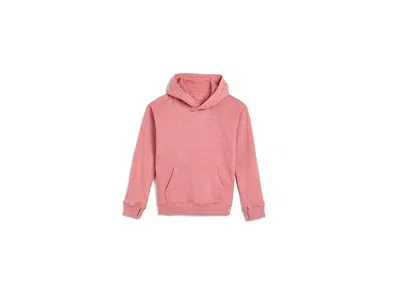 Abercrombie Sunfaded Pullover Hoodie (big Kids) Boy's Sweatshirt Dusty Rose : 15-16 (big Kids), Cotton/polyester In Pink
