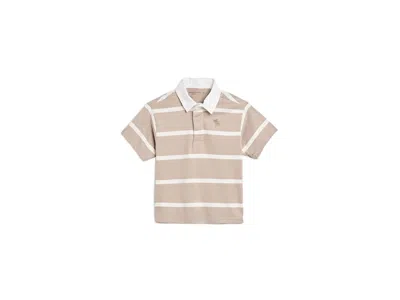 Abercrombie Tween Spirit Polo (little Kid/big Kid) Boy's Clothing Simply Taupe: 17-18 (big Kid) In Neutral