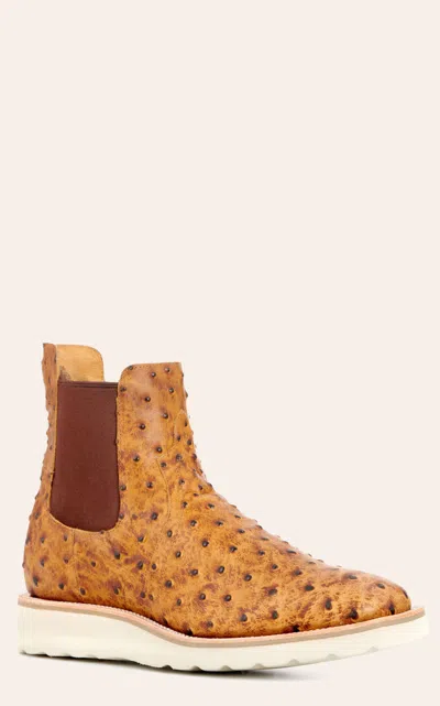 Abhp Anderson Bean Men's Horse Power Saddle Ostrich Print Wide Square Toe Chelsea Boots In Multi
