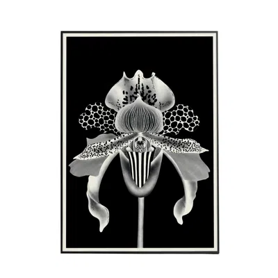 Abi Overland Jersey Black / Neutrals Orchidia Black S