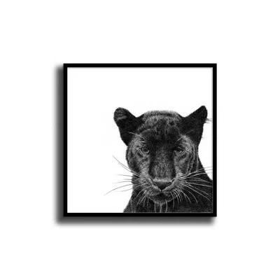 Abi Overland Jersey Peering Panther - Black