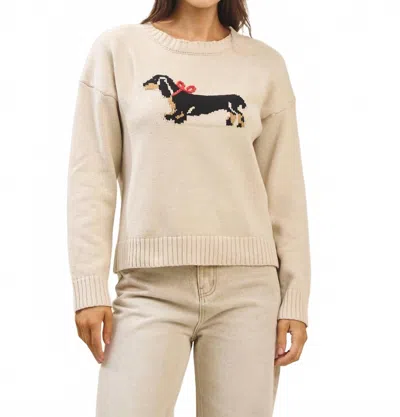 Able Bow Dog Sweater In Beige In Neutral