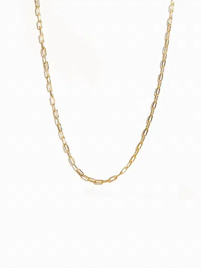 Able Women's Essential Chain Necklace In 14k Gold Filled In Multi