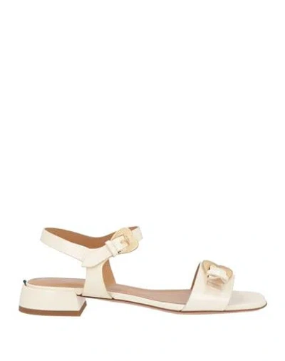 A.bocca A. Bocca Woman Sandals Ivory Size 8 Leather In White