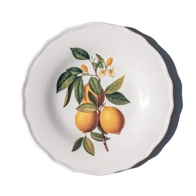 Abode Homewares Fruitstand Newwave Melamine Salad Plate - Assorted Colors - 8.7" - Set Of 4 In Multicolor