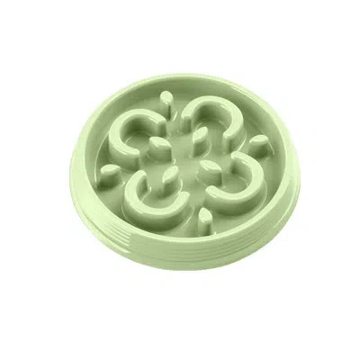 Abode Homewares Slow Chow Medallion Polypropylene Slow Feeder - Large - 7 Cups - Teal In Green