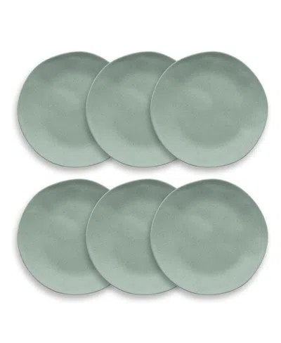 Abode Homewares Wheat Pp 6-piece Salad Plate Set, 8.5" In Green