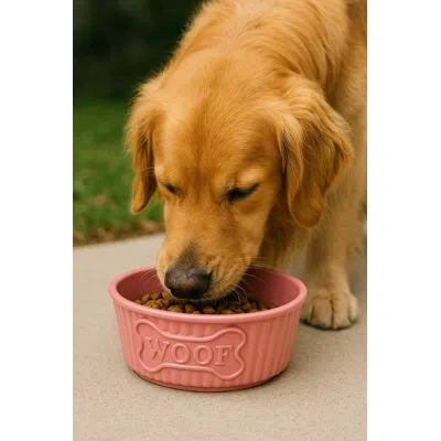 Abode Homewares Woof Wheat Straw Ribbed Pet Bowl In Pink