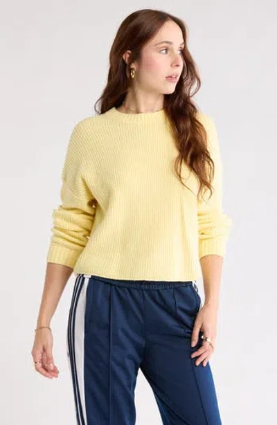 Abound Cozy Crew Pullover Sweater
