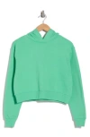 Abound Everyday Fleece Hoodie In Green Katydid