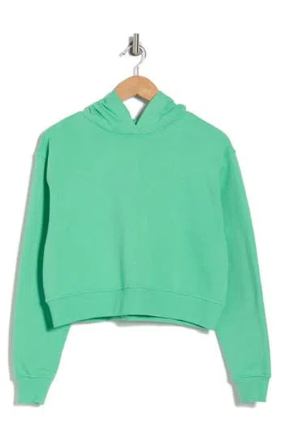 Abound Everyday Fleece Hoodie In Green Katydid