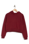 Abound Everyday Fleece Hoodie In Red Grape