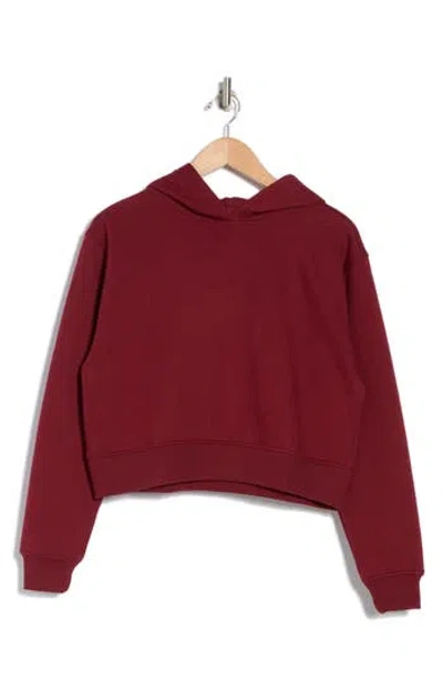 Abound Everyday Fleece Hoodie In Red Grape