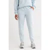 Abound Fleece Sweatpants