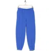 Abound Fleece Sweatpants In Blue Dazzle