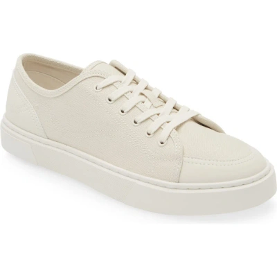 Abound Harley Sneaker In Ivory