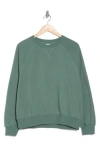 Abound Raglan Sleeve Sweatshirt In Green Tree