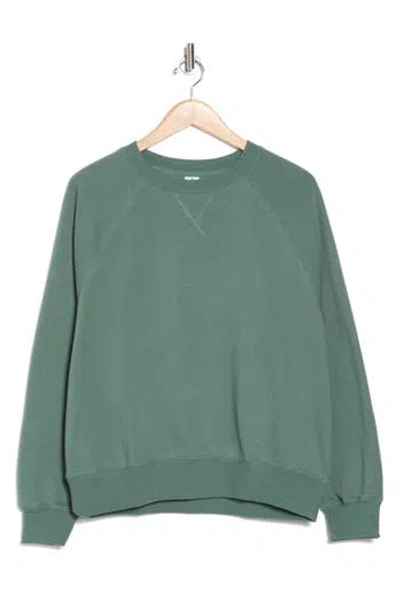 Abound Raglan Sleeve Sweatshirt In Green Tree