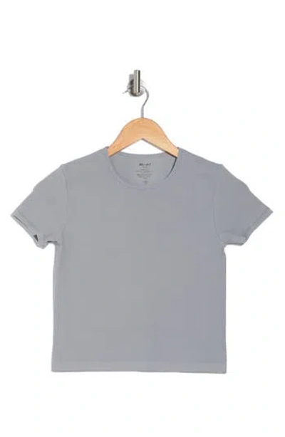 Abound Seamless Crewneck Baby Tee In Grey Soft Heather