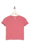 Abound Seamless Crewneck Baby Tee In Pink Mauve
