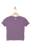 Abound Seamless Crewneck Baby Tee In Purple Montana
