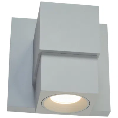 Abra Lighting Abra Optics Wet Location Down Light Wall Washer Silica