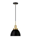 Abraham + Ivy Madison Blackened Bronze And Brass 12inch Metal Pendant In Black