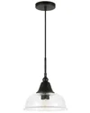 Abraham + Ivy Magnolia Pendant Light In Black