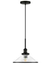 Abraham + Ivy Milo Pendant Light In Black