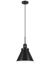 Abraham + Ivy Zeno Pendant Light In Black