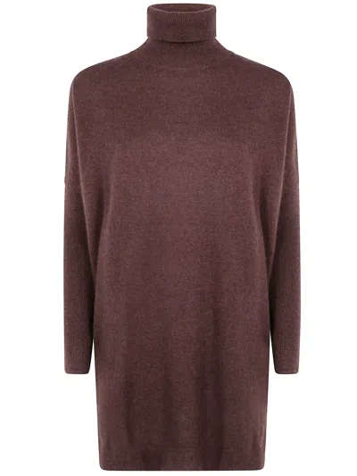 Absolut Cashmere "amira" High Neck Maxi Sweater In Brown