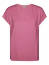 Absolut Cashmere Malaga T-shirt In Pink