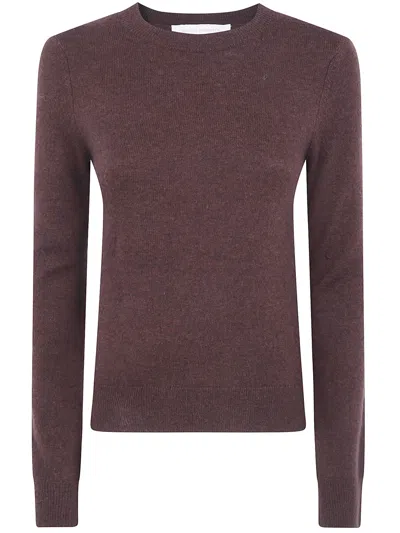 Absolut Cashmere Round-neck Fine-knit Sweater In Brown