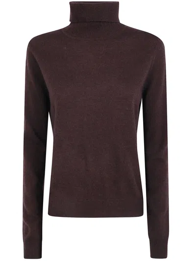 Absolut Cashmere Turtleneck Sweater "themys" In Brown