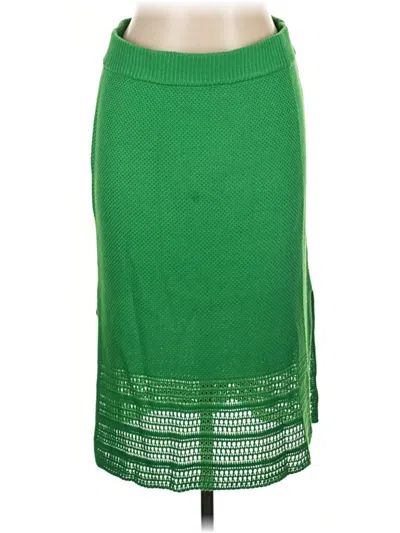 Pre-owned Absolutely Famous Casual Skirt In Green