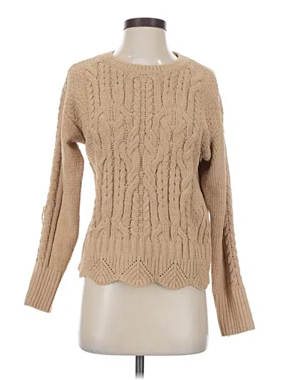 Pre-owned Absolutely Famous Pullover Sweater In Brown