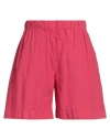 Academia Woman Shorts & Bermuda Shorts Magenta Size Xl Cotton In Magenta