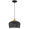 Access Blend 12" Black Pendant In Black