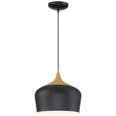 Access Blend 12" Black Pendant