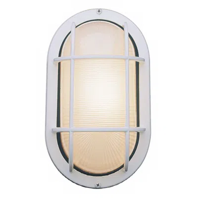 Access Bulkhead 11" High Satin Steel Oval Outdoor Wall Light