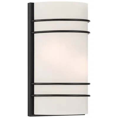Access Cassi 12" High 2-light Matte Black Wall Sconce