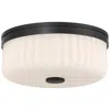 Access Daniella 11" Wide Matte Black Led Flush Mount