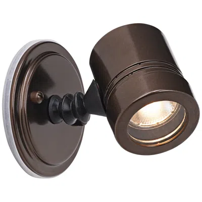 Access Myra Collection Bronze Outdoor Halogen Spotlight