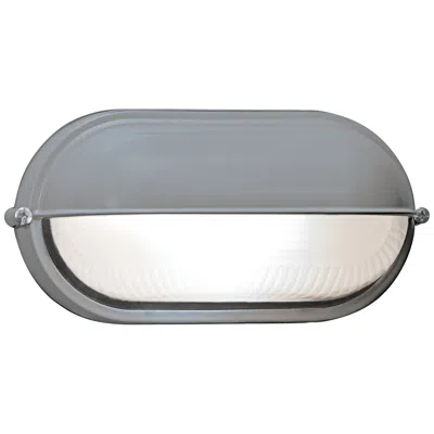 Access Nauticus 4 1/4" High Shaded Satin Silver Industrial Outdoor Wall Light In Multi